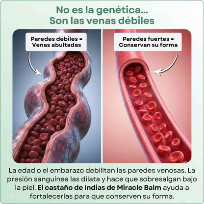 Melora™ Bálsamo Revitalizante